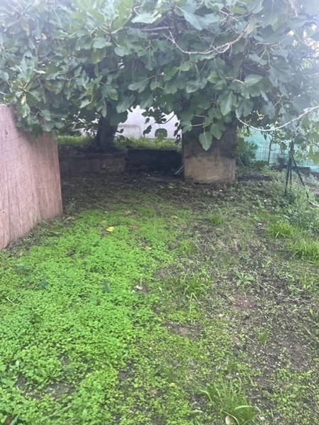 Appartement à louer 22m2 SIX FOURS LES PLAGES  